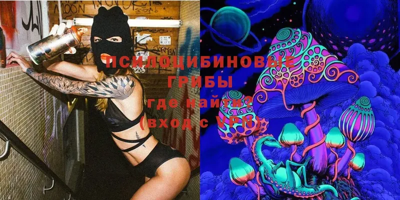 kraken как войти  Северодвинск  Галлюциногенные грибы Cubensis 